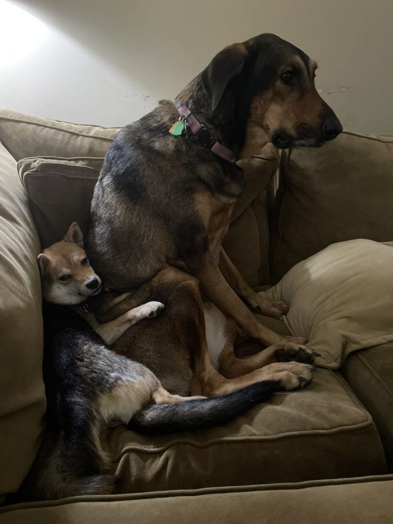 Luna on Kasha